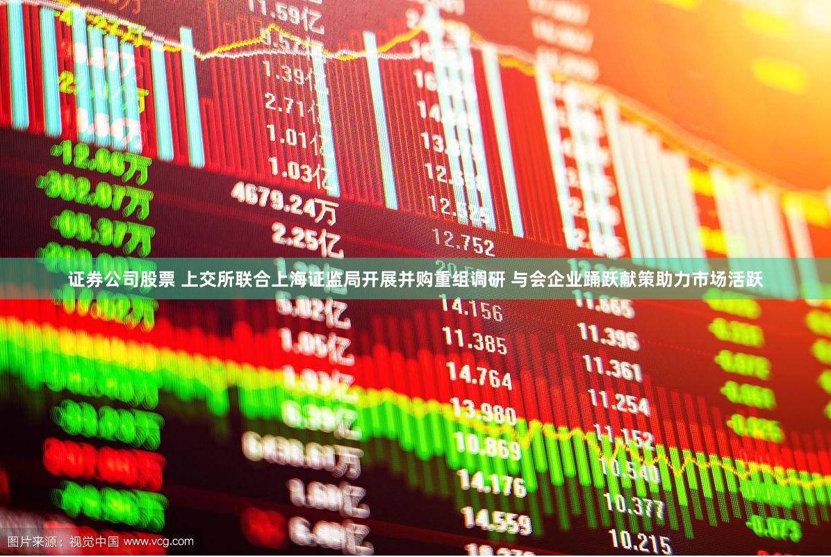 证券公司股票 上交所联合上海证监局开展并购重组调研 与会企业踊跃献策助力市场活跃