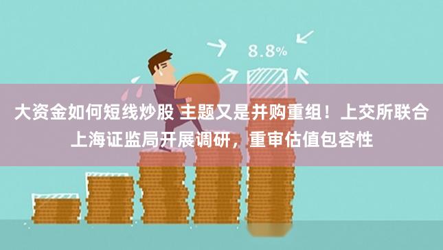大资金如何短线炒股 主题又是并购重组！上交所联合上海证监局开展调研，重审估值包容性